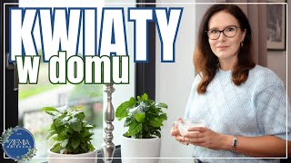 Kwiaty w moim domu [upl. by Fedora]