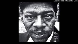 Little Walter  Eyesight To The Blind Sonny Boy Williamson II Cover [upl. by Nyrehtak]