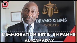 Limmigration temporaire est il en panne au Canada  et quelles conséquences [upl. by Mcguire]