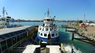 Halifax harbour ferries [upl. by Noillimaxam]