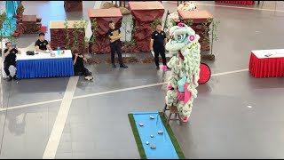 4K SG Shui Lian Gong 新加坡水蓮宮  MalaysiaChina Lion Dance Championship IOI Mall 19 Oct 24 [upl. by Adnwahsar]