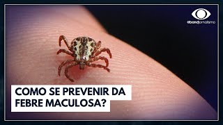 Febre maculosa especialista explica como se prevenir [upl. by Harikahs]