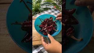 Best chilli paste recipe 😍 [upl. by Anirpas]