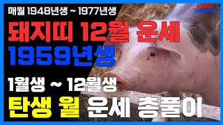 1959년생 12월 돼지띠운세 12월 대박의 순간 59년돼지띠12월운세 59년생돼지띠12월운세 [upl. by Shirley483]