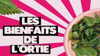 Quelques recettes pour découvrir les bienfaits de lortie en live avec SachaBenitah [upl. by Trebeh]