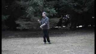 Cheng Man Ching 37 Posture Tai Chi Short Form Demonstration [upl. by Trocki]