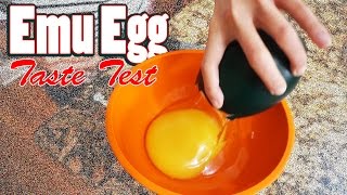 Cooking an Emu Egg  We Try an Emu Egg for the First Time  Quail Egg  Emu Egg Taste Test [upl. by Lleunamme722]