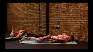 Vastus Lateralis THIGH Stretch for All laying – iStretch [upl. by Eyaj]