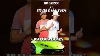 Dr Brizzy Jealousi Downft Silver D Malleven new hit 2024 [upl. by Uot]