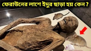 ফেরাউনের লাশের আওয়াজ শুনুন । ফেরাউনের হাত ও নখ বাড়তে থাকে কেন  Firon Pharaoh Mommy  faraunkahini [upl. by Parrisch]