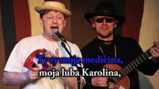 Moja medicina  serbski karaoke song [upl. by Radek]