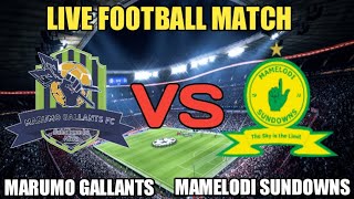 Marumo Gallants Vs Mamelodi Sundowns Live Match Score🔴 [upl. by Sillek]