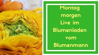 Livestream 77 Montag Morgen im Blumenladen vom Blumenmann [upl. by Nayhr]