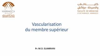 ANATOMIE FMPM VASCULARISATION DU MEMBRE SUPÉRIEUR [upl. by Joell]