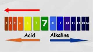 Strength of Acids and Alkalis [upl. by Ynove]