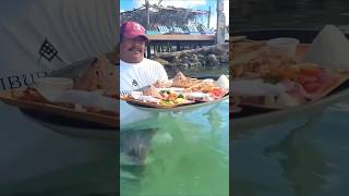 Crazy restaurant in ocean 😲 trending faad facts shorts [upl. by Eiram]