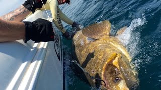 MAN vs BEAST Goliath Grouper Fishing in Florida [upl. by Elletsyrc642]