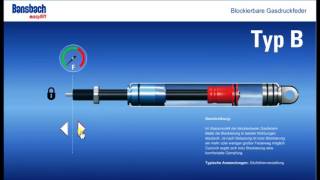 Blokkeerbare gasveren Type B [upl. by Fayette]