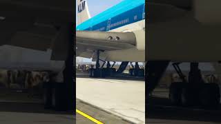 Pilots Experience Saves Cows wandering on Runway safelanding klm runwayblockage [upl. by Tye]