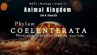 Phylum Coelenterata  Cnidaria  Animal Kingdom Biology CH4  Classification Animated Video 3D L3 [upl. by Henigman]