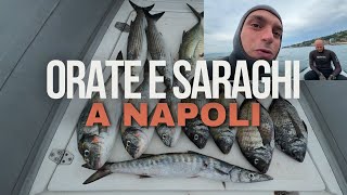 A PESCA DI ORATE SARAGHI E PELAGICI NEL MARE DI NAPOLI PESCASUB [upl. by Rolo455]