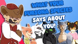 What Your FURSONAS SPECIES Says About You [upl. by Anawit]