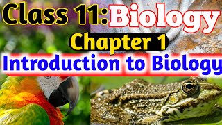 Introduction to Biology  Class 11 Biology Chapter 1 Nepal  Biology Class 11 in Nepal  Sj Classes [upl. by Solegna120]