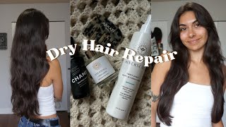 Reviving My Dry Beach Hair  Wash Day Vlog amp New Products ♡ [upl. by Selrac114]