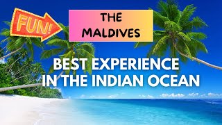 The Maldives Exploring resort island of Villingili Indian Ocean [upl. by Aennyl413]