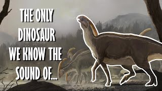 Parasaurolophus  The dinosaur that sounded eerily beautiful [upl. by Irehs]