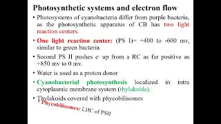 Oxygenic Photosynthesis Cyanobacteria Microbial metabolism [upl. by Hoopes]