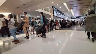 American Airlines massive customer service line DallasFort Worth November 5th 2024 1230 am [upl. by Hgieliak]