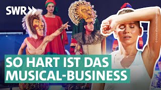 Musicals Wer profitiert von krassen Ticketpreisen für König der Löwen amp Co 🤑 Ausgerechnet WDR [upl. by Eentroc]