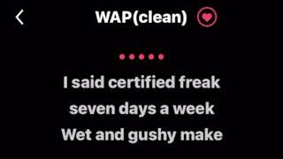 WAP Clean lyrics by Cardi B ft Megan theeKaraoke Version [upl. by Coralyn39]