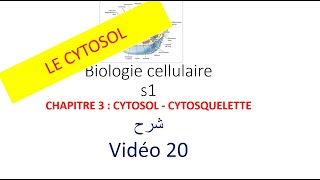 biologie cellulaire s1 vidéo 020  CYTOSOL  CYTOSQUELETTE شرح [upl. by Poland]