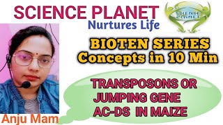 TRANSPOSONS II JUMPING GENE II AC DS SYSTEM IN MAIZE II CSIRGATESETASSPROF PGT GIC BY ANJU MAM [upl. by Dlorag]