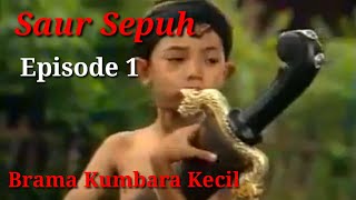 Film Saur Sepuh Brama Kumbara episode 1 [upl. by Leeda]