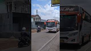 Po Bus Rakha Trans Aruni busmaniacomunity busmania [upl. by Lytsirk]