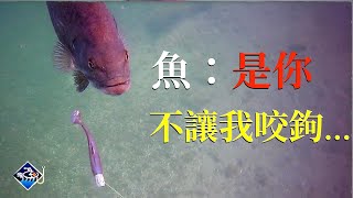 🐟💪【路亞的致命陷阱】這個被忽視的關鍵錯誤，讓你我錯過了多少魚？水下鏡頭眼見為實！不再對路亞中魚失去信心 [upl. by Wyatan]