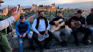 Flamenco frente a La Alhambra [upl. by Ameg637]