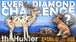 CRAZY RARE Hunting for EVERY DIAMOND  COTW Every Diamond Challenge Ep 12 [upl. by Emsoc]