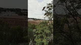 Orange garden in aventine  panorama view [upl. by Yesac699]