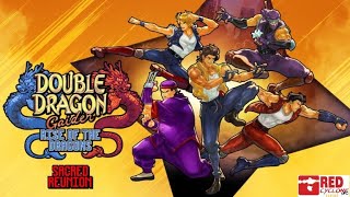 Double Dragon Gaiden Rise of the Dragons  Sacred Reunion Coop [upl. by Alesandrini]