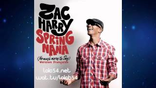 Zac Harry Spring Nana No Much More To Say French radio edit [upl. by Guidotti331]