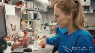 What does a microbiologist do  University of Tasmania [upl. by Sllew]