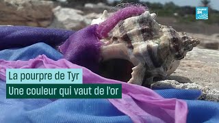 La pourpre de Tyr  une couleur qui vaut de l’or CulturePrime [upl. by Valenza986]