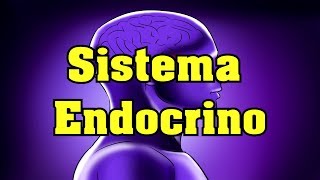 El Sistema Endocrino [upl. by Laet85]