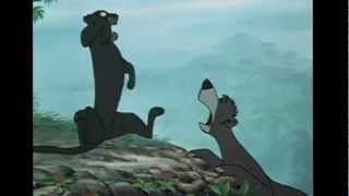 Baloo Shouts Bagheera  Baloo crie Bagheera [upl. by Enneira]