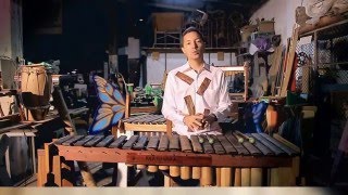 Marimba para todos Tutorial 7 Zonas de la marimba [upl. by Enoryt]