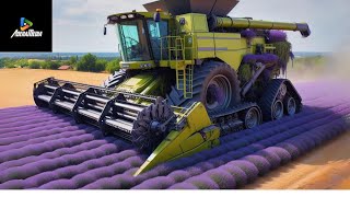 Lavender Harvest🌿 Heavy Agriculture Machinery farmingevolution [upl. by Nnuahs]